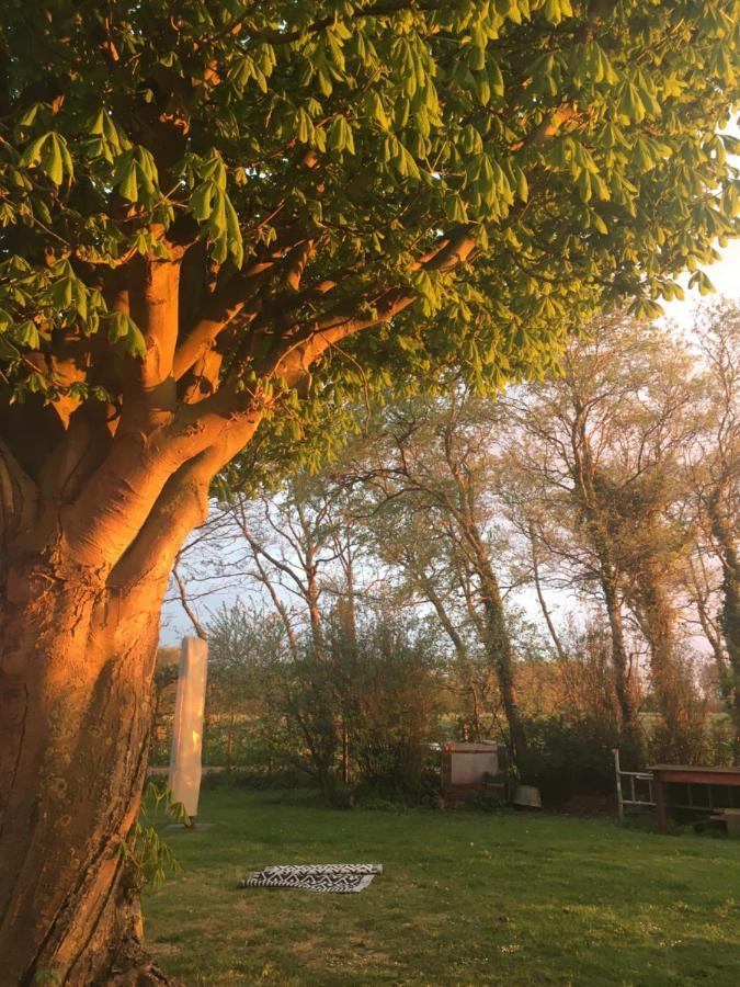 Lowlander Bnb Heemskerk Eksteriør billede