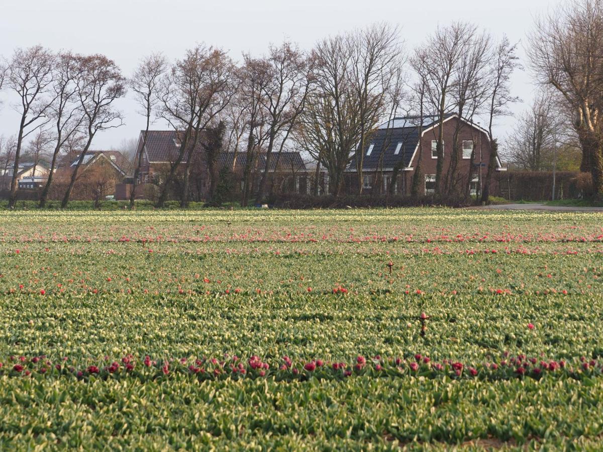 Lowlander Bnb Heemskerk Eksteriør billede